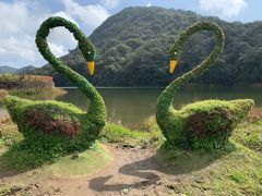 -广州市石门国家森林公园