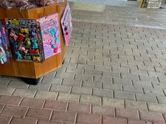 -桃姐农庄老字号(增城分店)