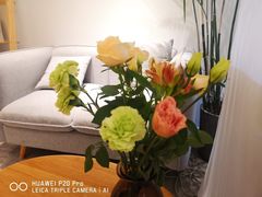 -左悦·艾灸调理·推拿按摩·精油SPA(卓悦汇店)