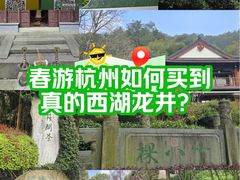 -十八棵（老龙井）御茶园(老龙井店)