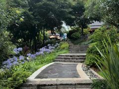 -七彩云南古滇温泉山庄
