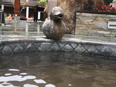 -碧水湾温泉