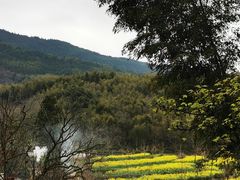 -塔川景区