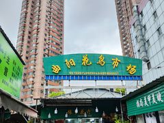 -曲阳花鸟市场(曲阳路店)