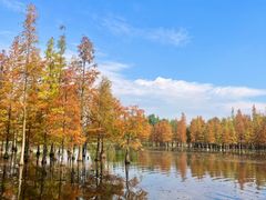 -白鹭湾湿地公园