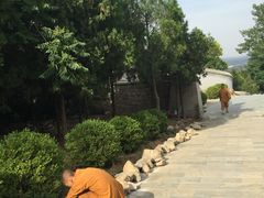 -龙泉寺