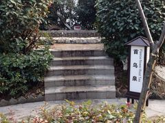 阳明温泉山庄-余姚阳明温泉山庄