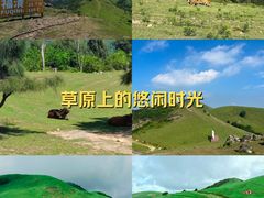 -大姆山草场