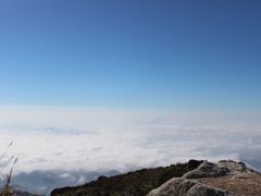 -西双版纳原始森林公园