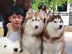 -TrueLove @ Neverland (Husky Cafe)