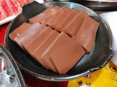 谭公鸭血-谭鸭血老火锅(万象九宜城店)