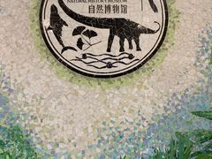 -自然博物馆(地铁站)