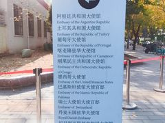 -三里屯东五街银杏大道