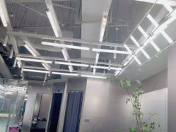 -东方麒麟·潘多拉SALON