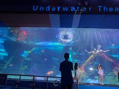 -泉城欧乐堡海洋极地世界