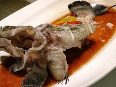 清蒸老虎斑-宝燕壹号(徐汇店)