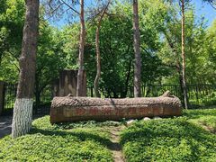 -黑龙江省森林植物园