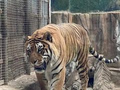 -大连森林动物园