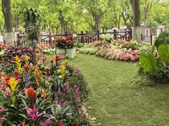 -上海鲜花港