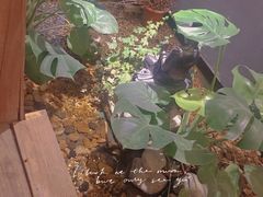 -邈墨茶馆(凤起路店)