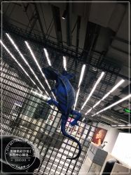 -斑斓色彩沙龙