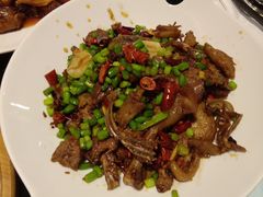 -赫帝拉航空主题餐厅(南宁店)