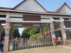 -上海都市菜园