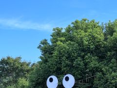 -绍兴启迪乔波冰雪世界