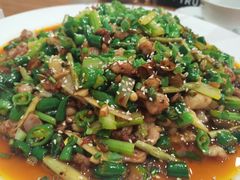 功夫兔-功夫兔