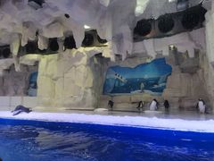 -华夏文旅海洋公园