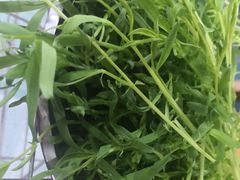 相思菜-钰洁腊排骨火锅