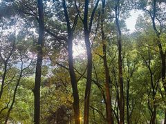 -巴倒烫陆派火锅山庄(南山总店)