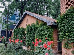 -西安电影制片厂