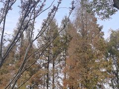 -宁波儿童公园(鄞州区)