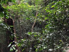 -七仙岭温泉国家森林公园