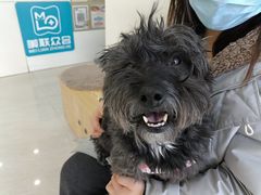 -美联众合动物医院·内科·皮肤科·外科(古城分院)