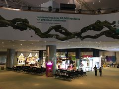 -吉隆坡国际机场