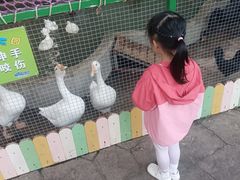 -南湖梦幻岛