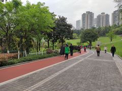 -龙头寺公园