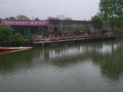 -荔枝红五号农庄