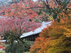 -醍醐寺