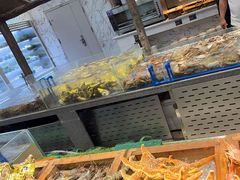 -半岛听涛蒸汽海鲜自助(K11店)