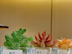 -香缇小院私房菜(盐务街店)