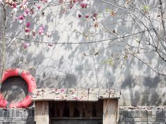 -春风习习