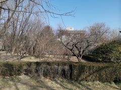 -建国门(地铁站)