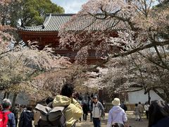-醍醐寺