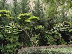 -莲湖公园