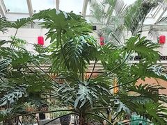 -顺峰·粤菜海鲜·早茶自助(阜成店)
