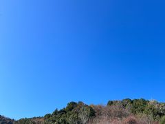 -北京西山国家森林公园