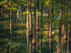 -麓湖高尔夫球俱乐部